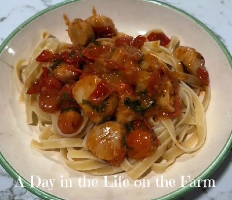 Seared Scallops with Tomatoes and Basil