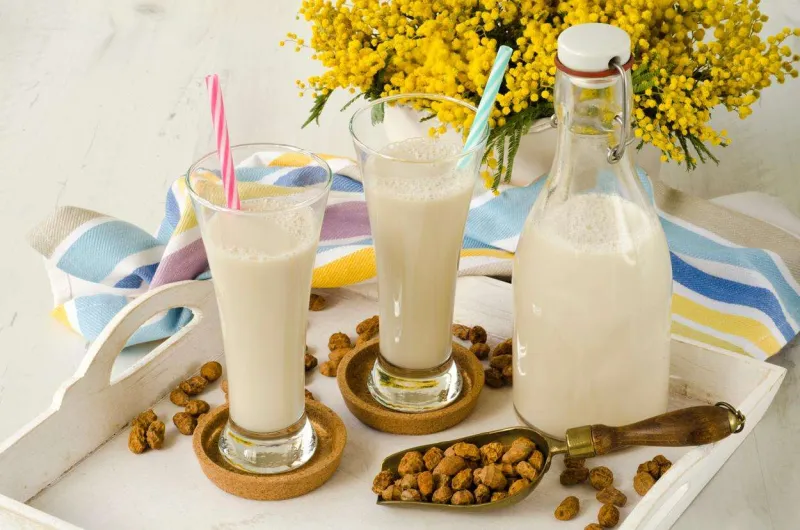 Refreshing Spanish Traditional Sweet Tiger Nut Milk Drink from Valencia. Authentic Recipe of Horchata de Chufa.