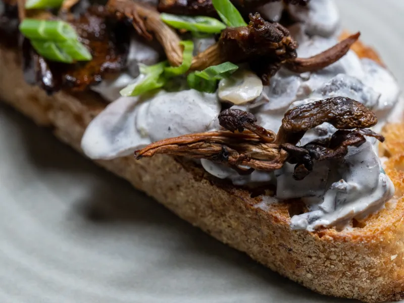 Mushroom Stroganoff Toast