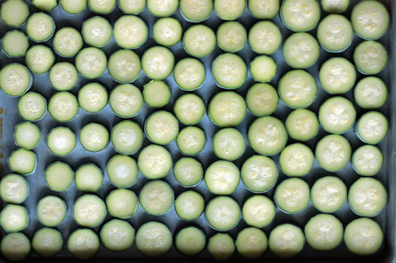 Frozen Summer Squash