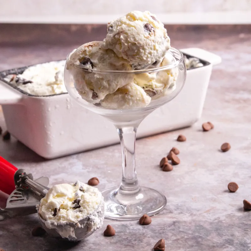 No-Churn Chocolate Chip Ricotta Ice Cream