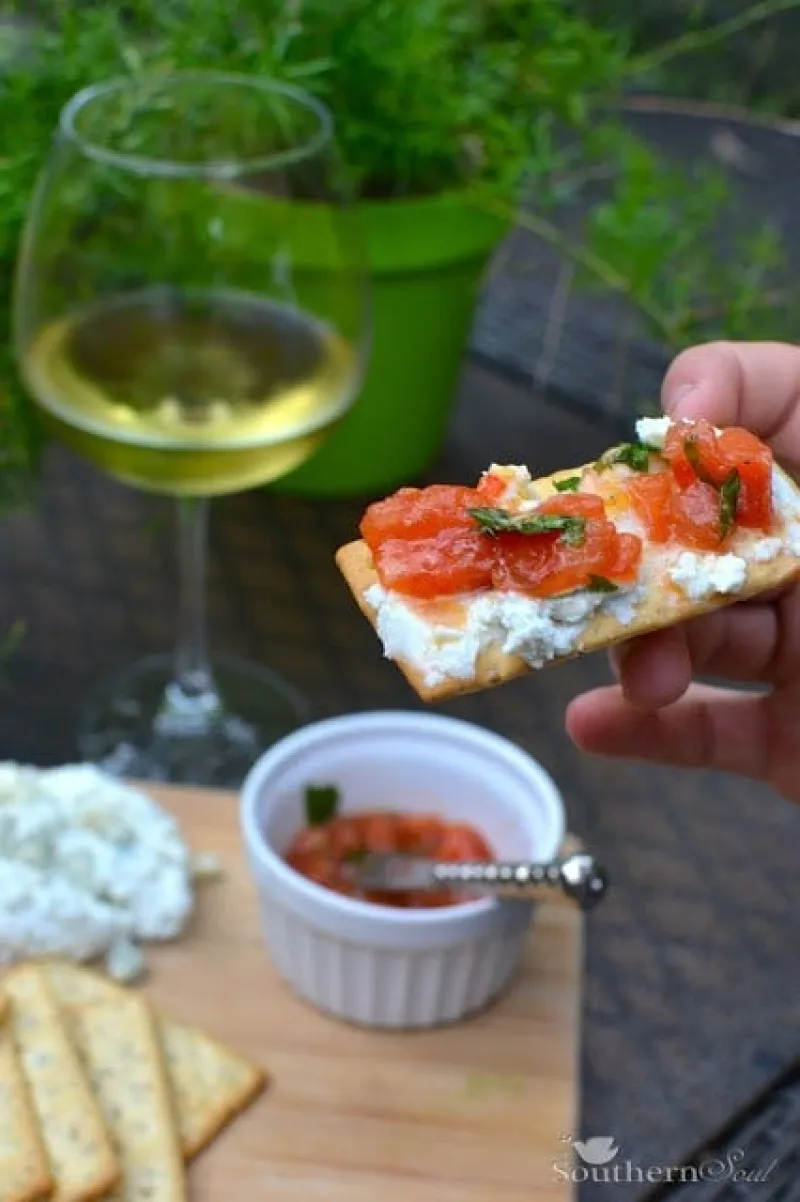 Cheese & Tomato Appetizer