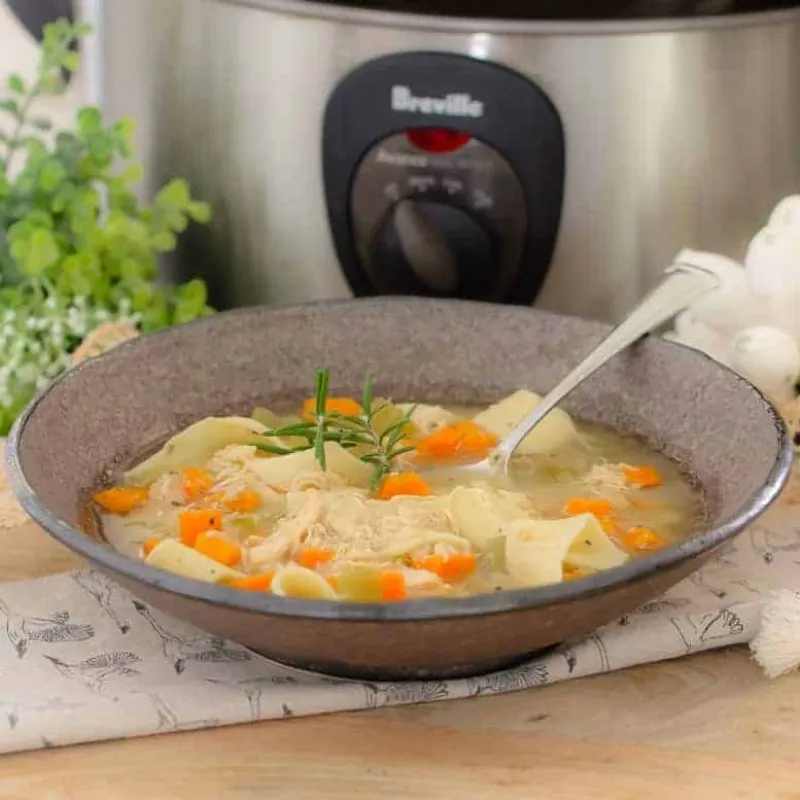 Slow Cooker Chicken Noodle Soup