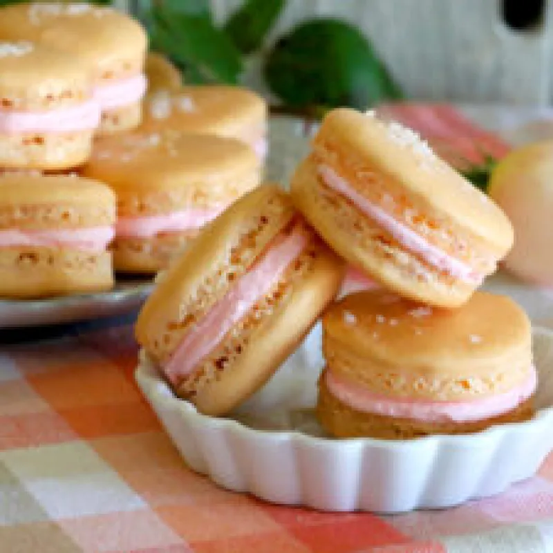 Salted Grapefruit Macarons With Gin Buttercream