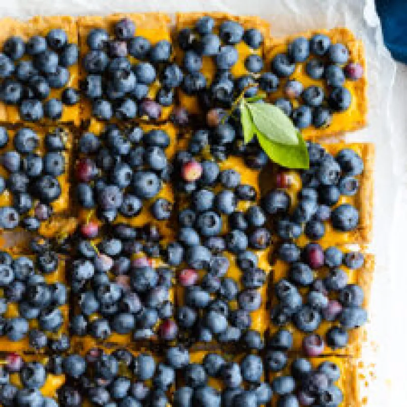 Blueberry Lemon Curd Poppy Seed Shortbread Bars