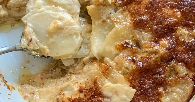 Potato-Fennel Gratin (half-recipe) | Recipes