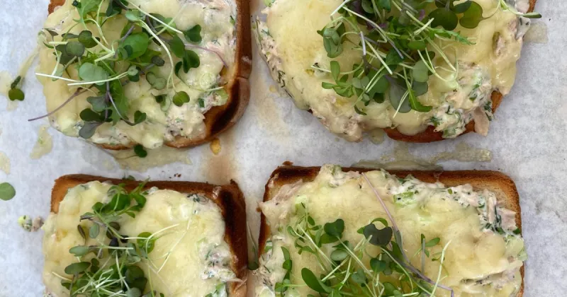 Ultimate Tuna Melts | Recipes