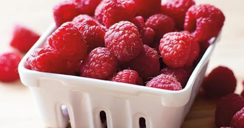 Fresh Raspberry Sauce | Recipes