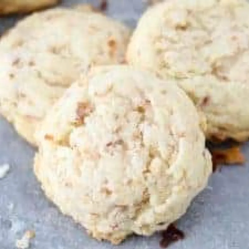 Toasted Coconut Cookies