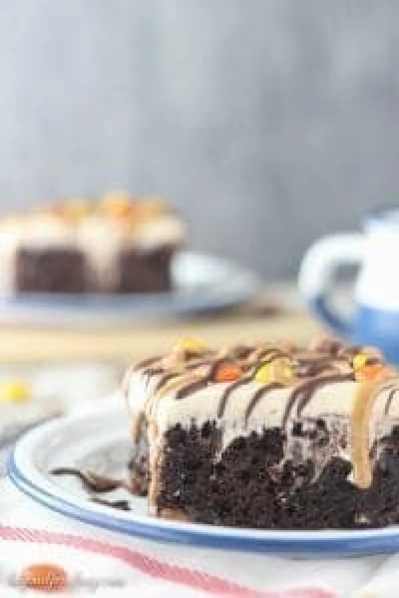 Peanut Butter Chocolate Poke Cake