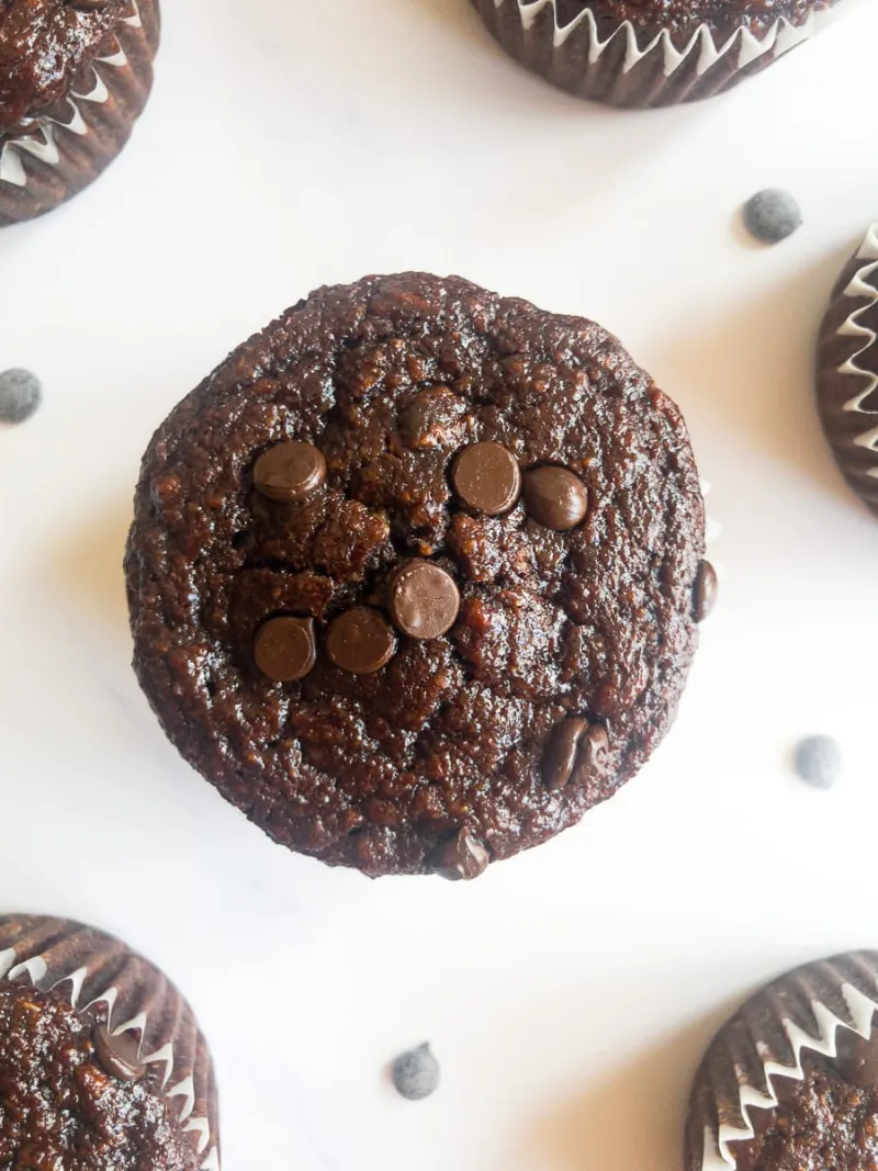 Double Chocolate Banana Oatmeal Muffins