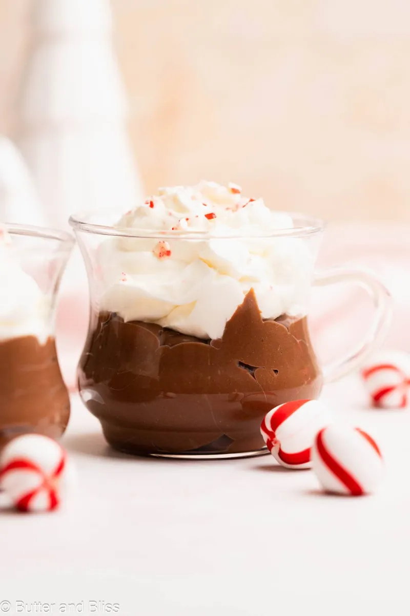 Peppermint Hot Chocolate Pudding For Two