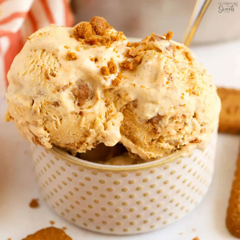Pumpkin Ice Cream