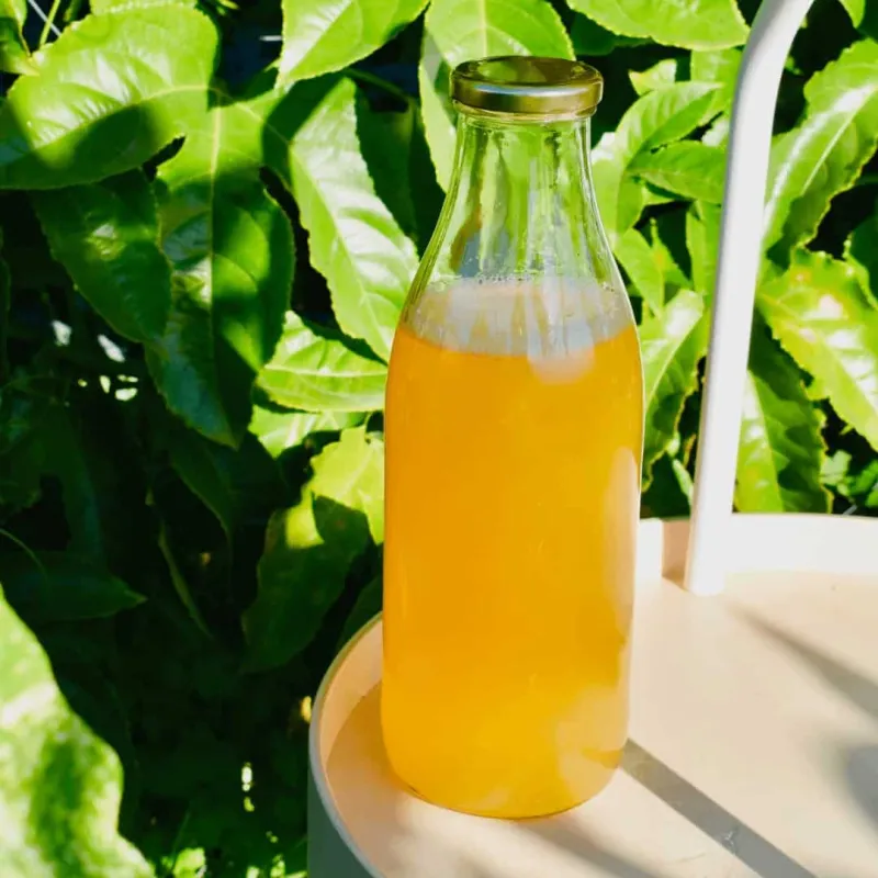 Passionfruit Cordial Recipe