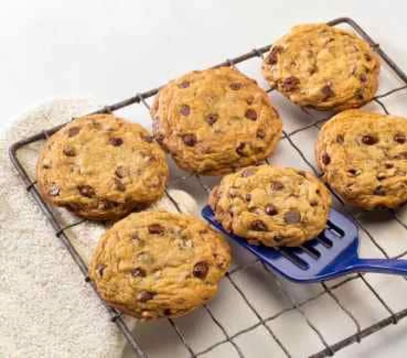 Double Tree Hotel Chocolate Chip Cookies