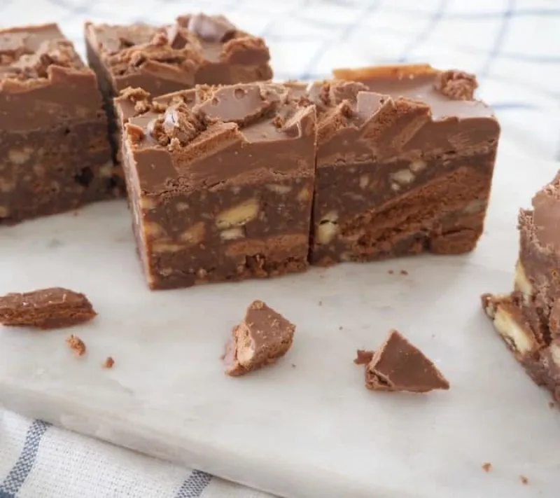 Tim Tam Hedgehog Slice