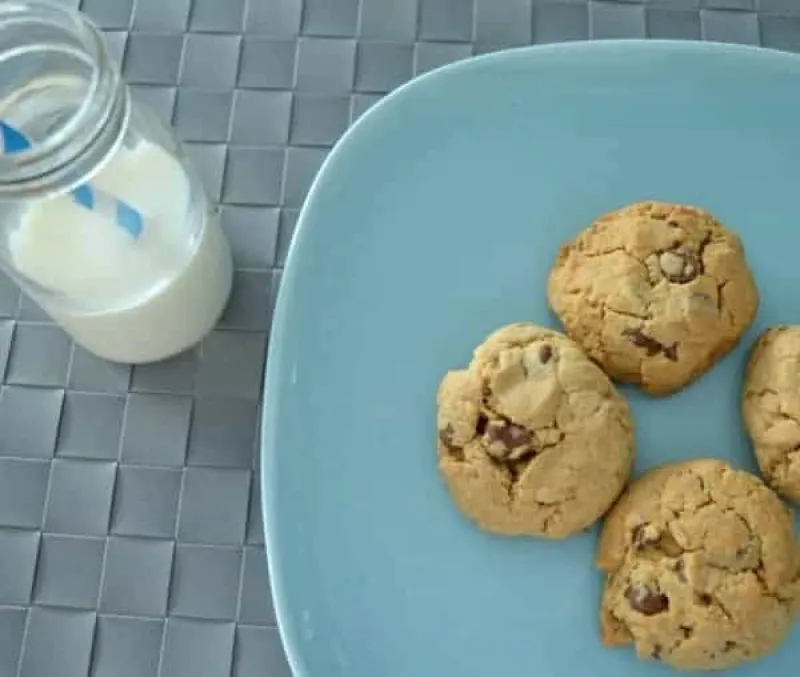 Peanut Butter and Chocolate Chip Cookies