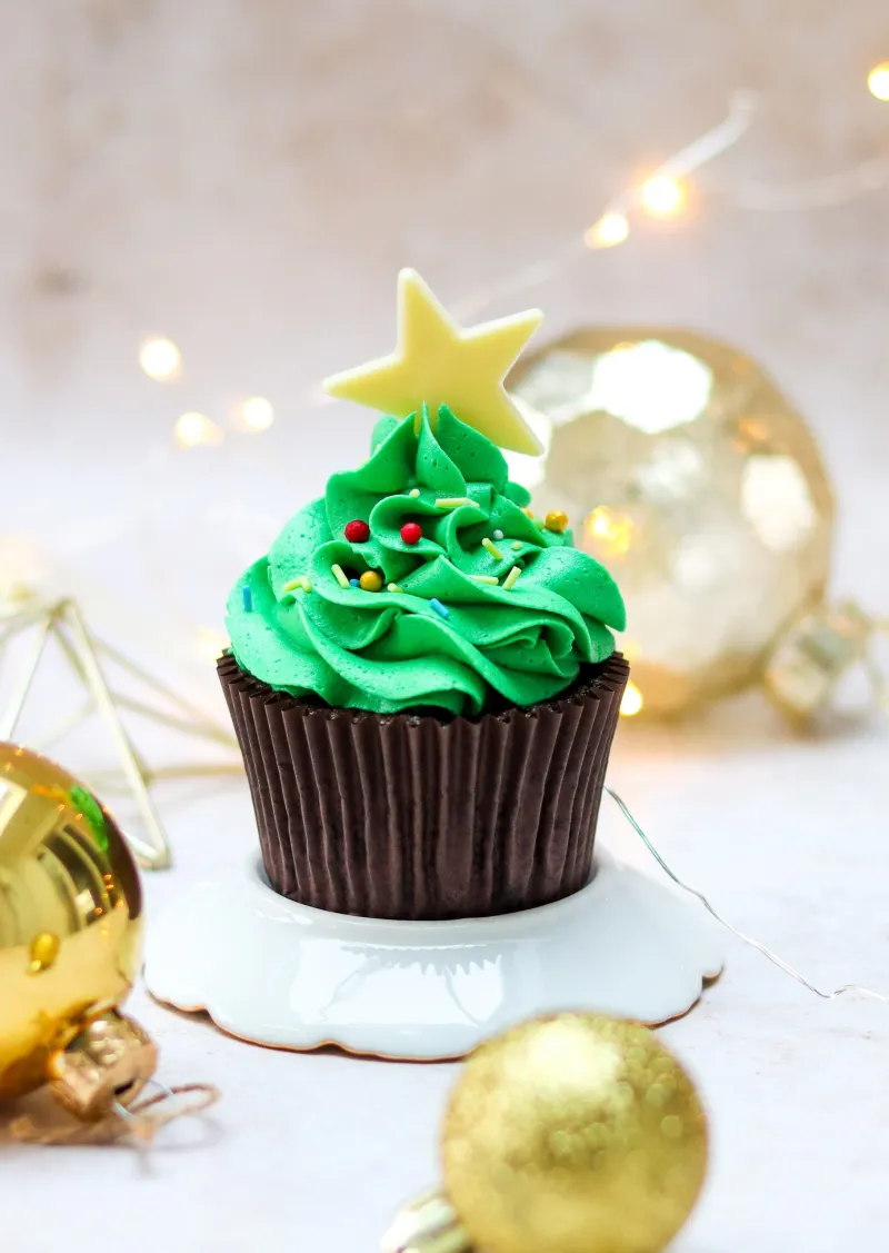 Mary Berry's Christmas Chocolate Cupcakes