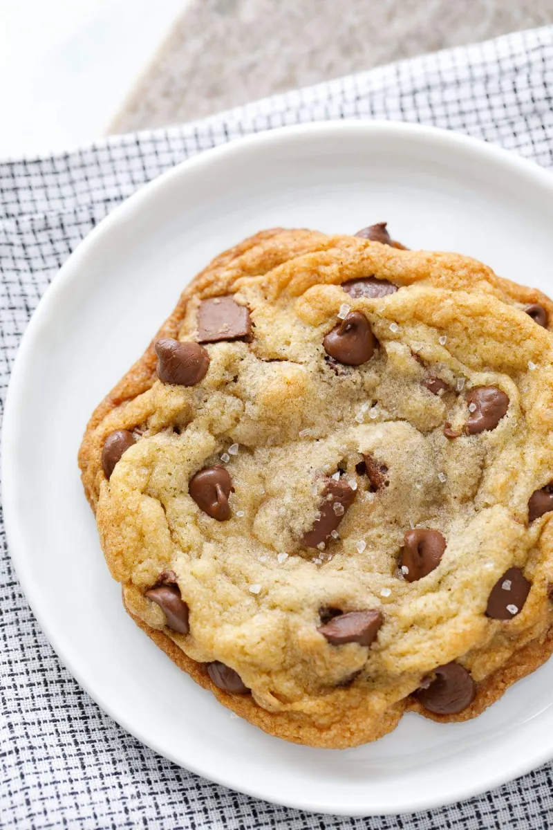 Best Chocolate Chip Cookies