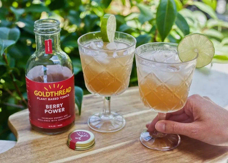 Our Favorite Berry Power Summer Spritzer