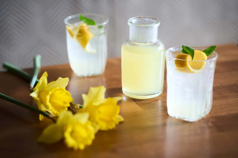 Foraged Spring Vermouth