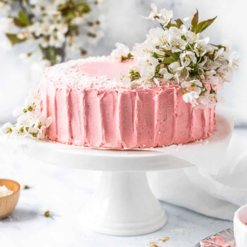 Coconut Sponge Cake with Raspberry Buttercream