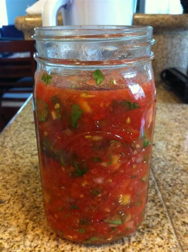 Fermented Salsa