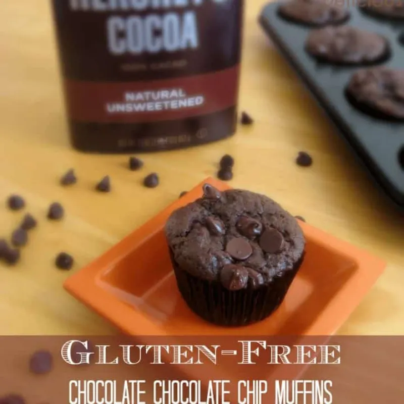 Gluten Free Chocolate Chocolate Chip Muffins
