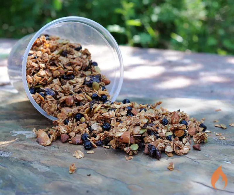 Homemade Granola for Your Campout