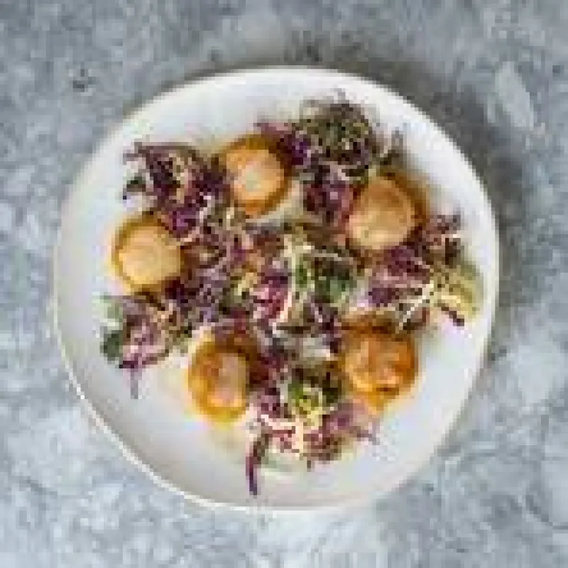 PAN-SEARED SCALLOPS WITH BUTTERNUT SQUASH PUREE & POMEGRANATE-QUINCE SLAW