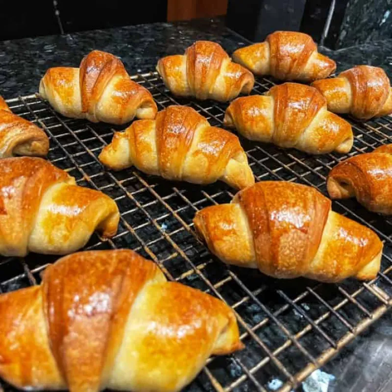 Sourdough Crescent Rolls (No Yeast, No Baking Powder)