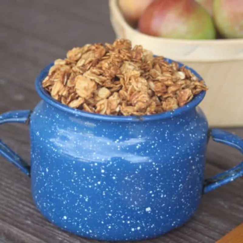 Applesauce Peanut Butter Granola
