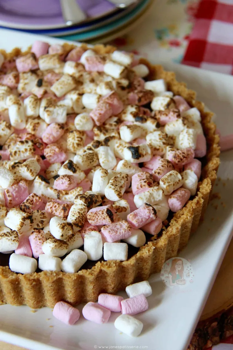 No Bake S'mores Tart!