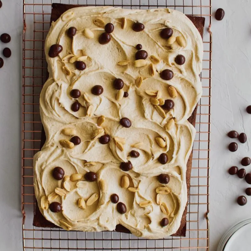 Chocolate Covered Peanut Cake