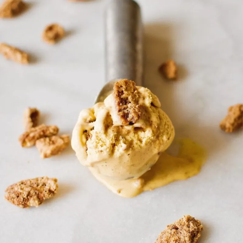 Pumpkin Cardamom Ice Cream