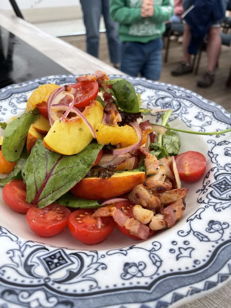 Seared chicken and Balsamic Nectarine, Salad