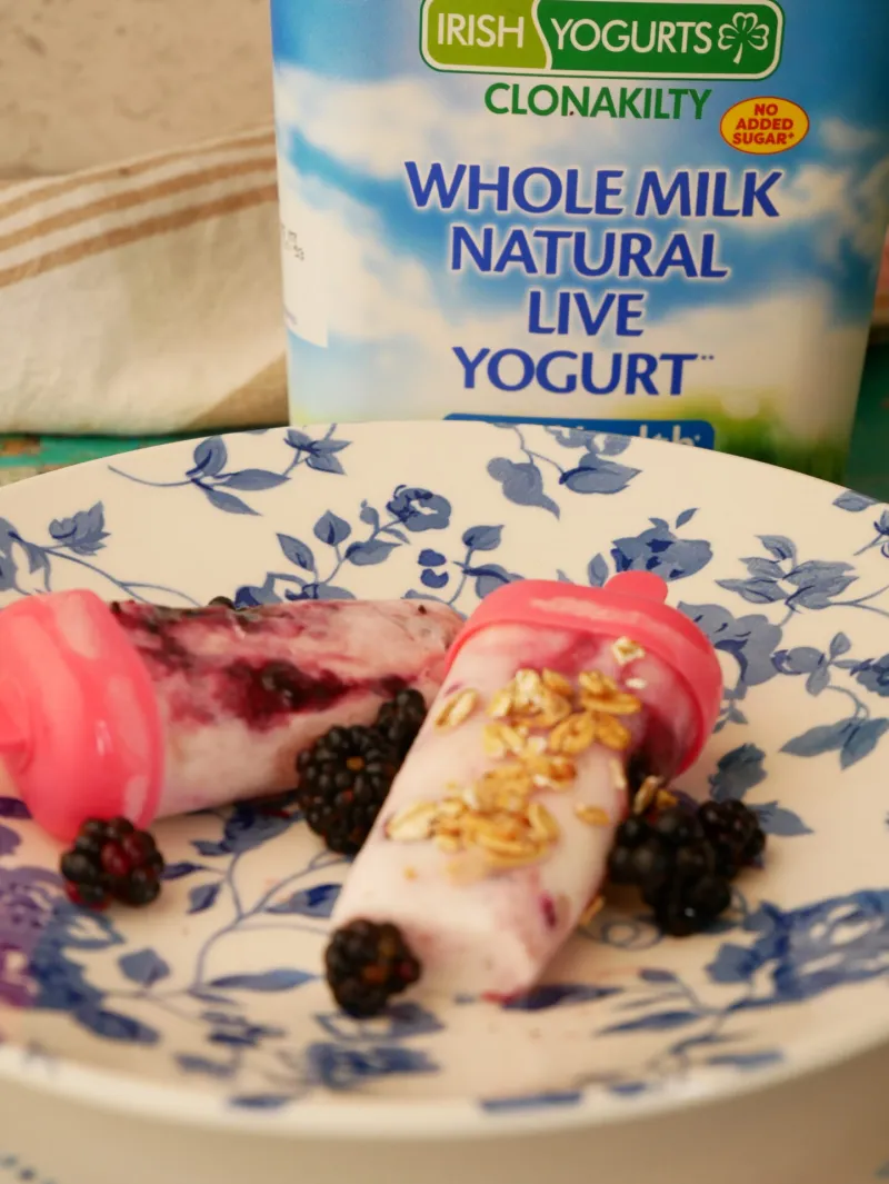 Irish Yogurts Clonakilty Apple and Blackberries Ice Pops