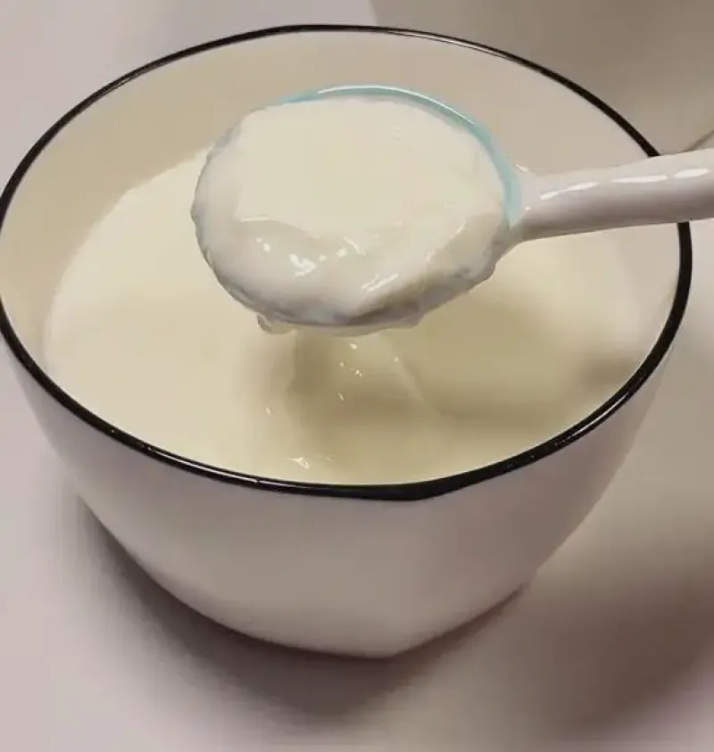 How To Make Ginger Milk Curd Or Pudding