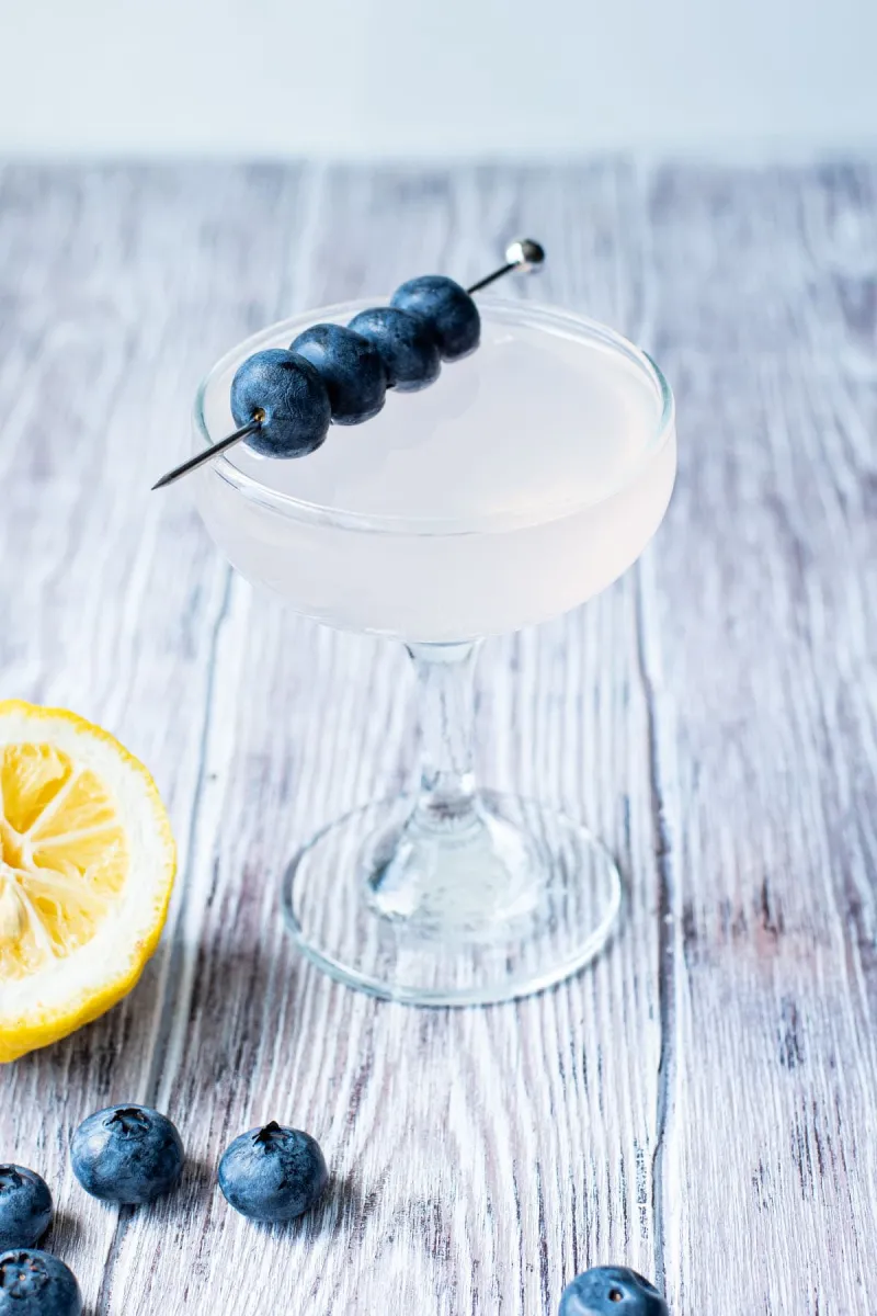 Blueberry Martini Recipe
