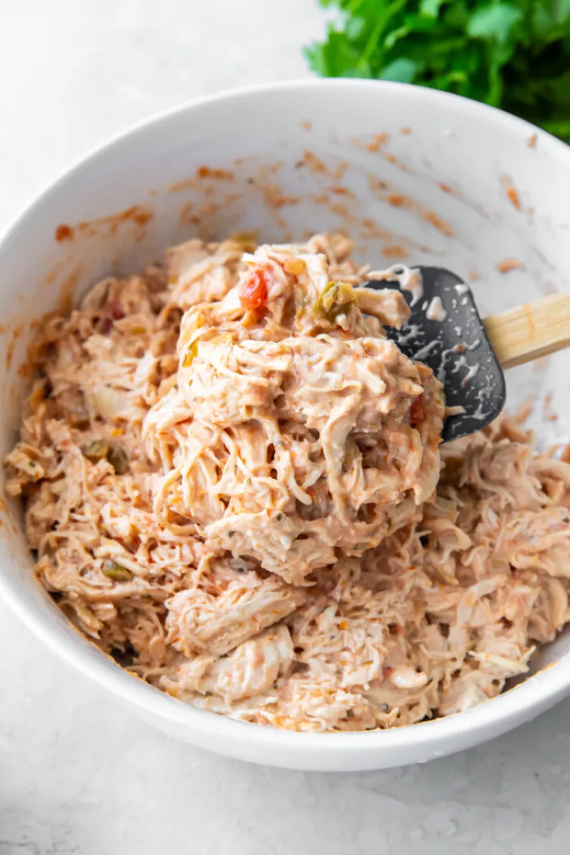 Creamy Salsa Chicken Recipe