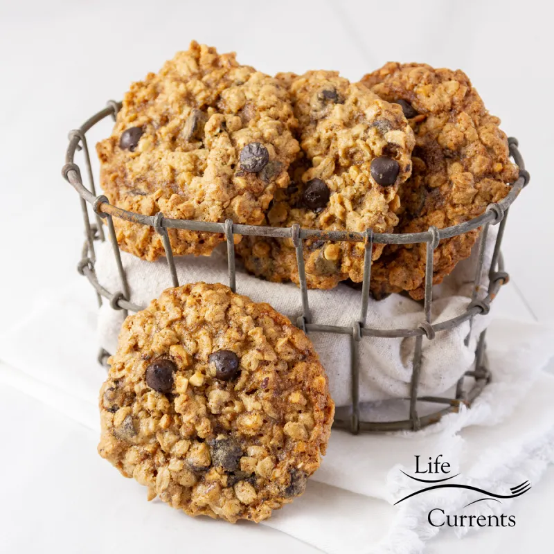 Espresso Hazelnut Oatmeal Cookies