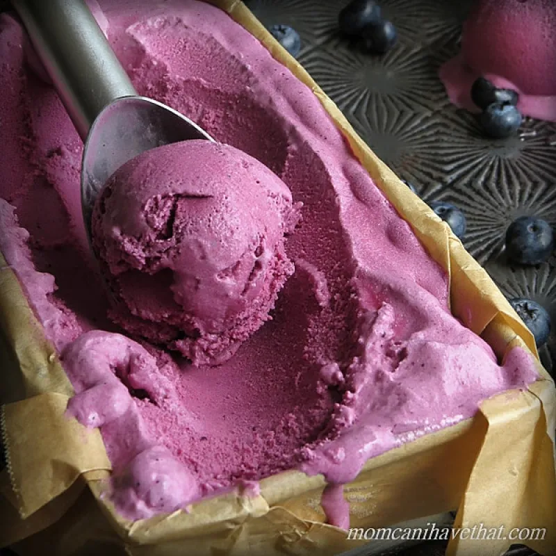 Low Carb Blueberry Buttermilk Ice Cream