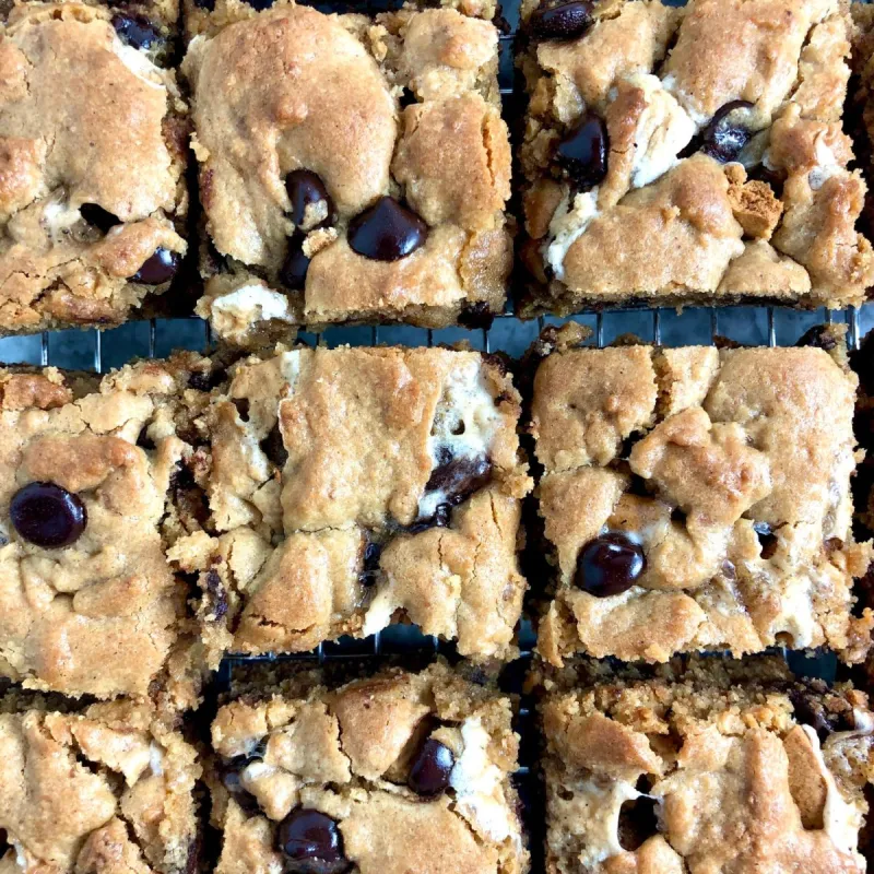 Tahini Browned Butter S'mores Cookie Bars