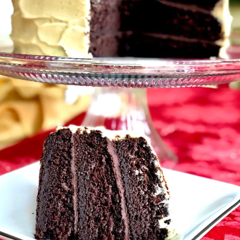 Chocolate Gingerbread Layer Cake with Vanilla Molasses Buttercream