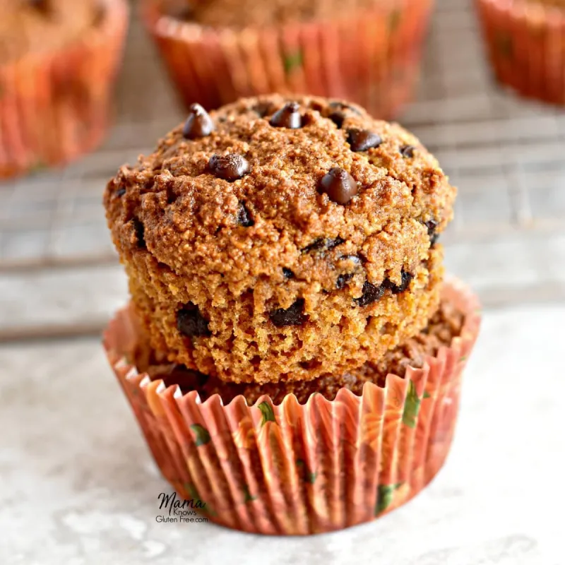 Paleo Pumpkin Chocolate Chip Muffins {Dairy-Free, Gluten-Free, Grain-Free, No Refined Sugar}