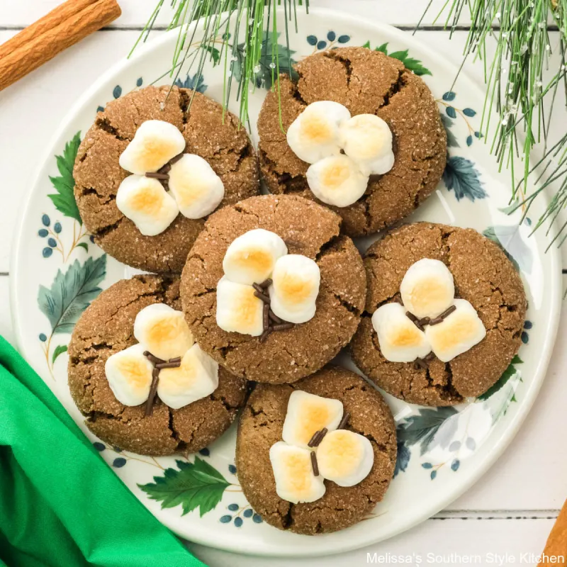 Hot Chocolate Cookies
