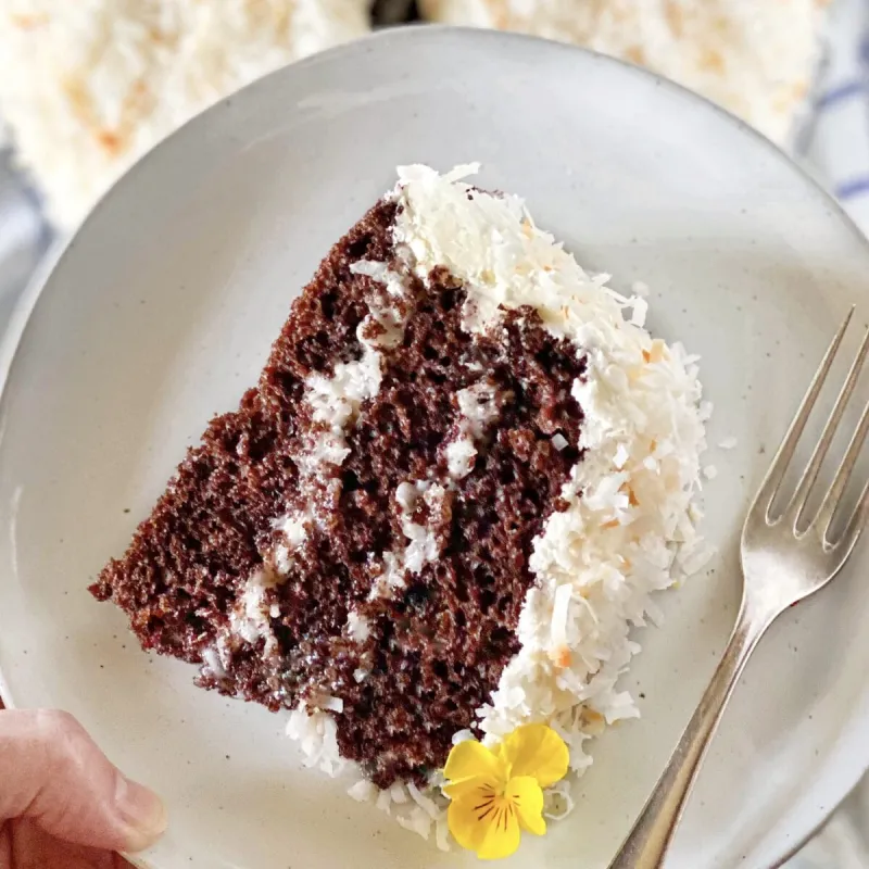 Coconut Cream Chocolate Cake