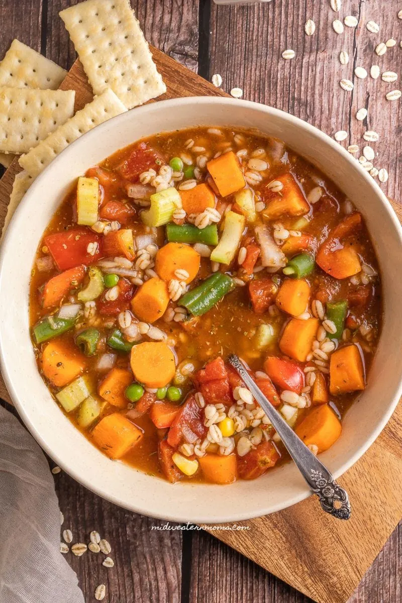Slow Cooker Vegetable Soup