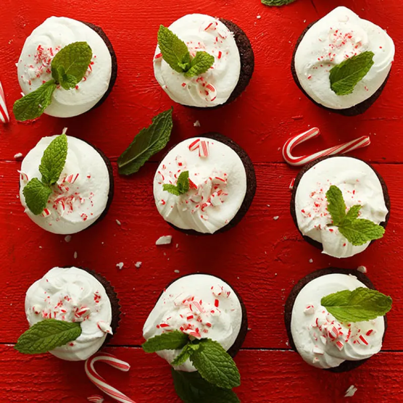 Chocolate Peppermint Cupcakes (Vegan + GF)