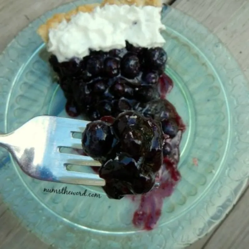 Blueberry Pie